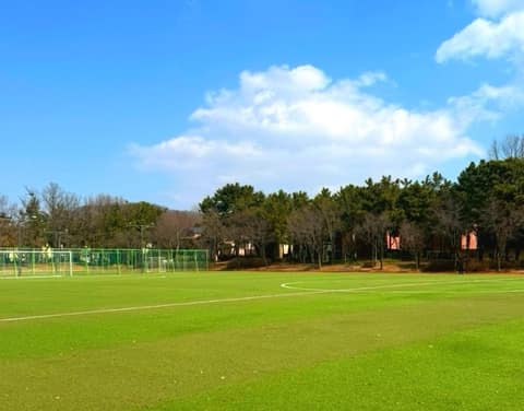 영마루공원 산책길 사진 2