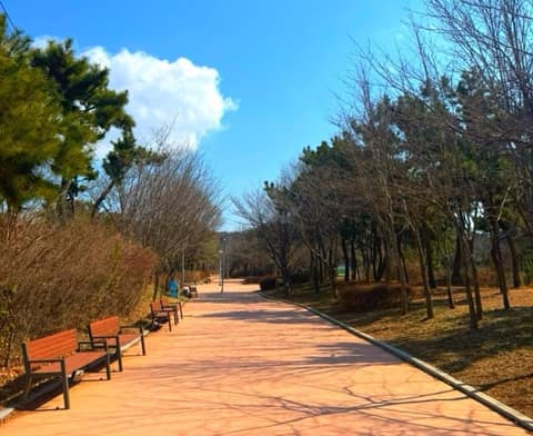 영마루공원 산책길 사진 4