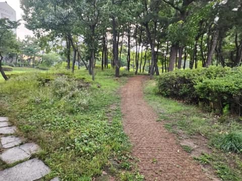 영마루공원 산책길 사진 5