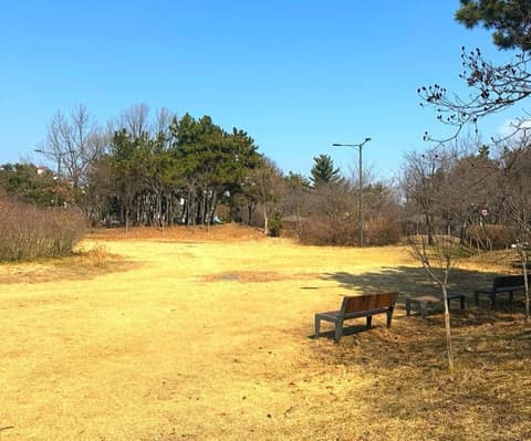 영마루공원 산책길 사진 7
