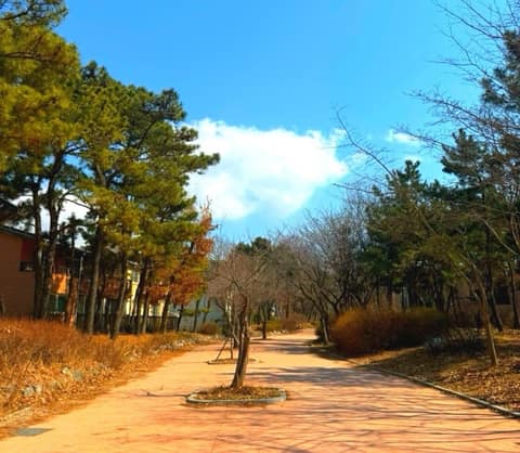 영마루공원 산책길 사진 8