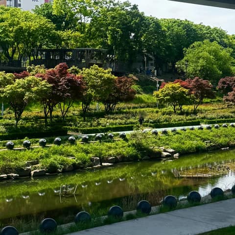중랑천 산책로 사진 1