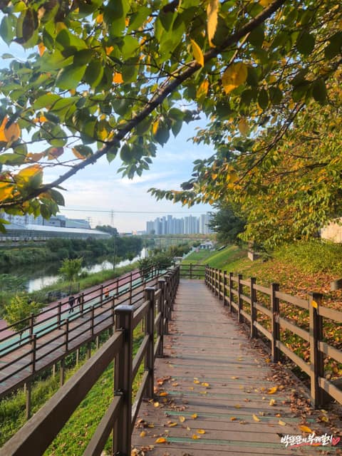중랑천 산책로 사진 5