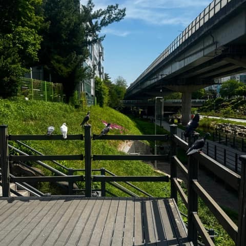 중랑천 산책로 사진 9