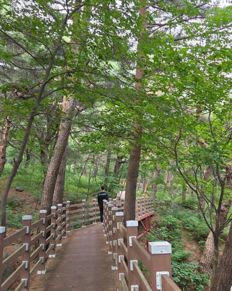 칠보산 캠핑길 사진 3