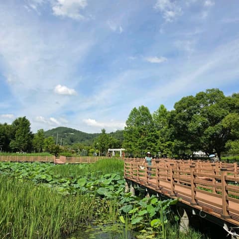탑정호 수변 데크 둘레길 사진 7