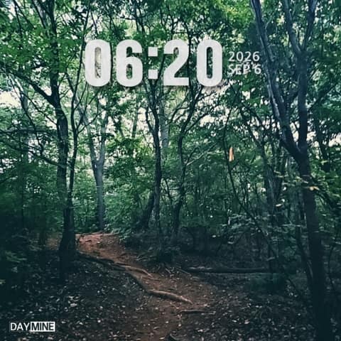 양천둘레길 산림형 구간 사진 3