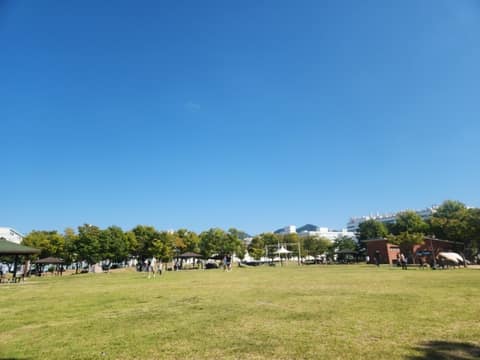 구미 동락공원 산책길 사진 1