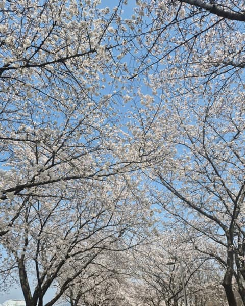 구미 동락공원 산책길 사진 9