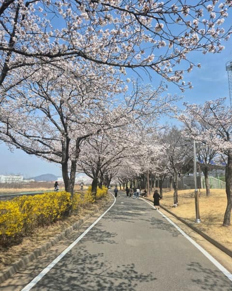 구미 동락공원 산책길 사진 10