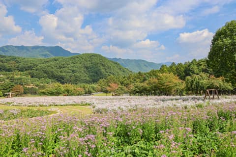 국립백두대간수목원 산책길 사진 1