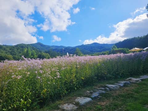 국립백두대간수목원 산책길 사진 3