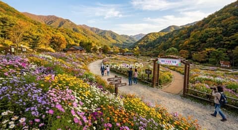 국립백두대간수목원 산책길 사진 5