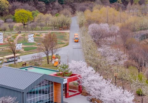 국립백두대간수목원 산책길 사진 8