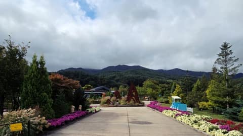 국립백두대간수목원 산책길 사진 10