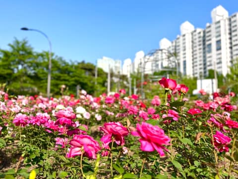 풍암호수 산책길 사진 8