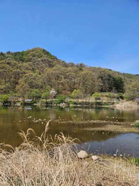 섬강길 사진 2