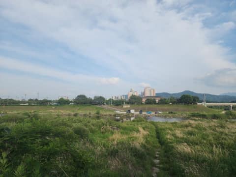 섬강길 사진 4