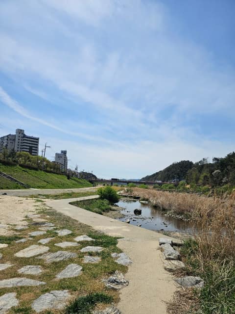 섬강길 사진 5