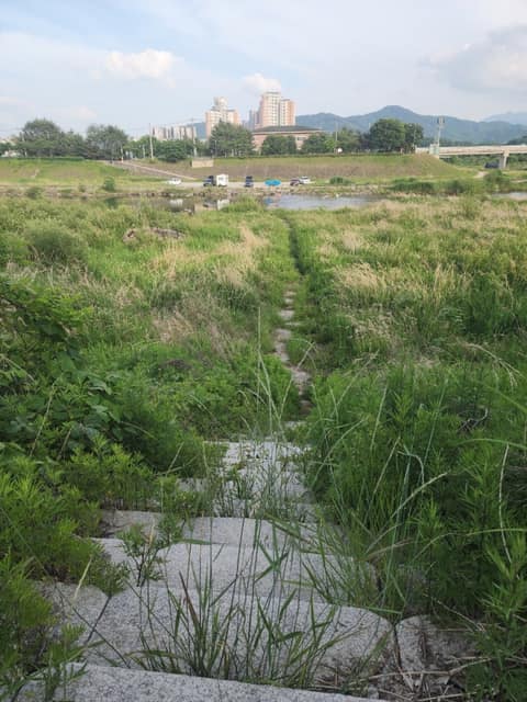 섬강길 사진 6