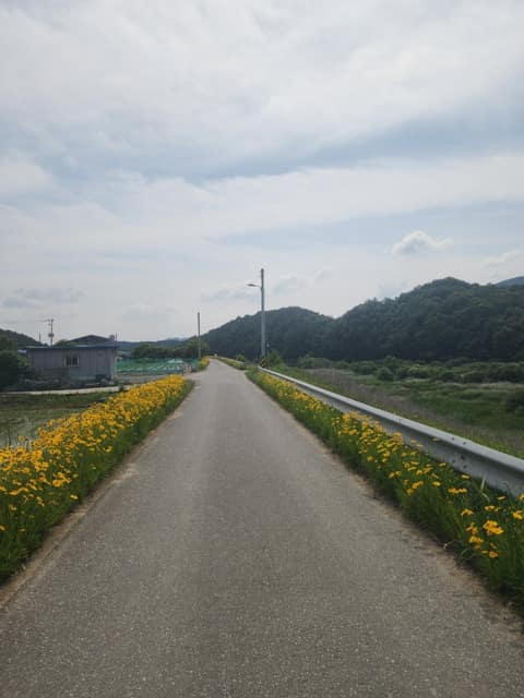섬강길 사진 7