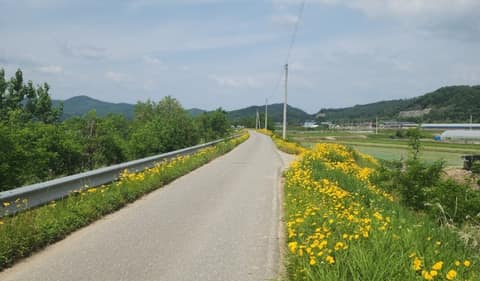 섬강길 사진 8