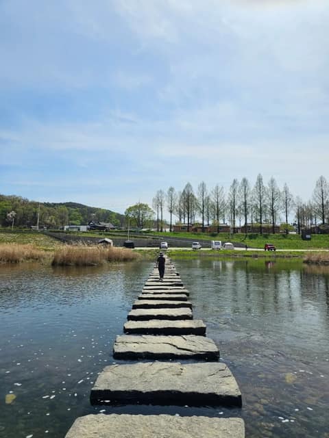 섬강길 사진 9