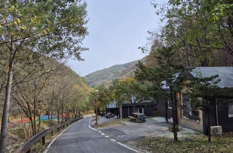 도사곡 가는길 사진 3