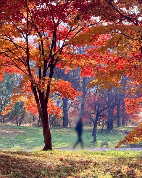 경안천 생태습지공원 산책길 사진 7