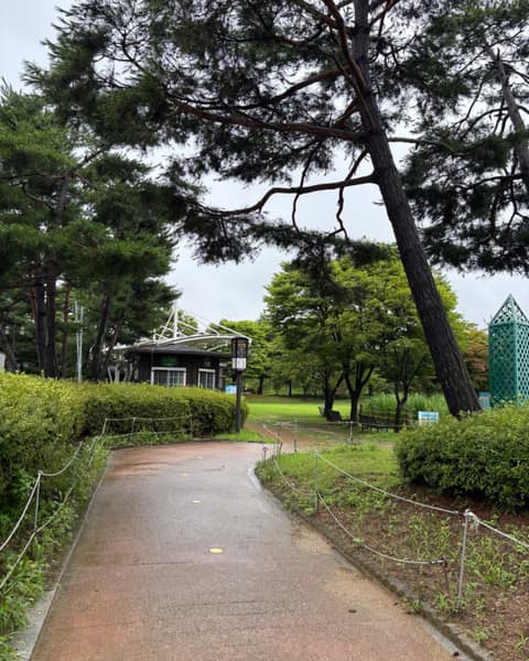 경안천 생태습지공원 산책길 사진 8