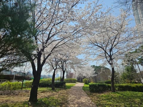 공원 잇기 산책길 사진 1