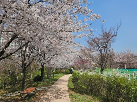 공원 잇기 산책길 사진 2