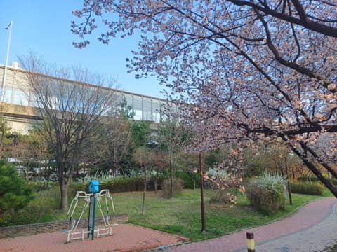 공원 잇기 산책길 사진 3