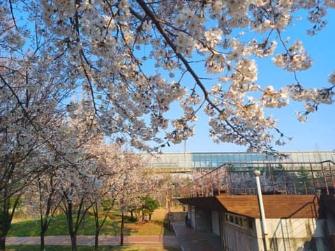 공원 잇기 산책길 사진 4