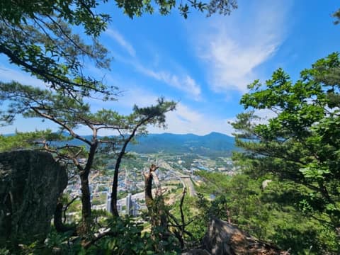 보납산 벚꽃길 사진 2
