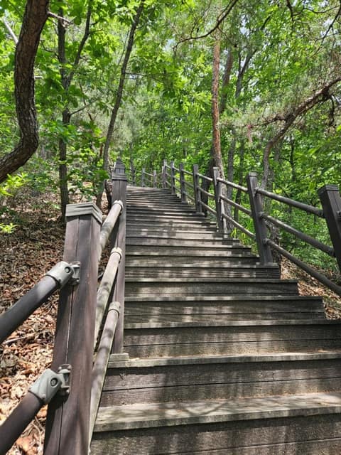 보납산 벚꽃길 사진 6