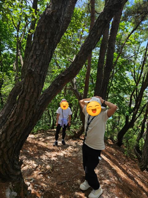 보납산 벚꽃길 사진 10