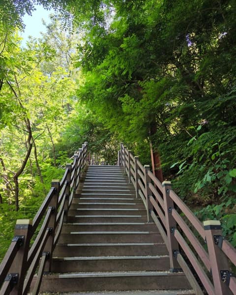 수봉산 둘레 마실길 1 사진 3