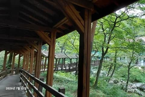 대관령자연휴양림 숲길 사진 3