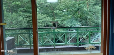 대관령자연휴양림 숲길 사진 6