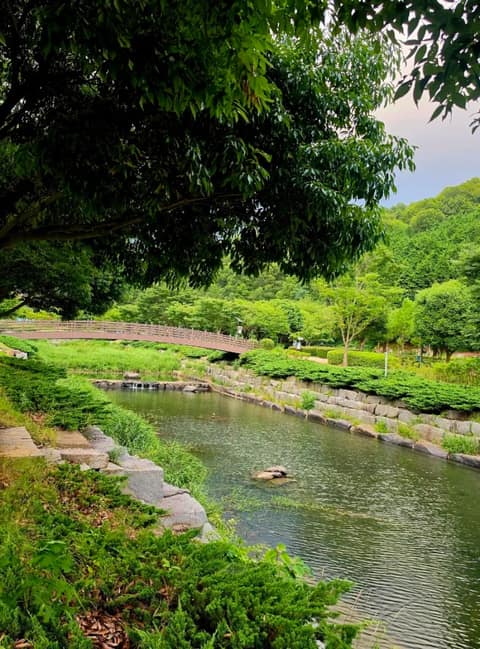 와룡저수지 산책로 사진 2