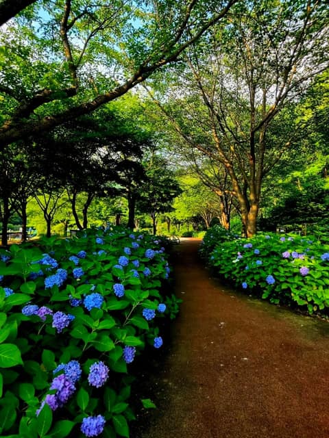 와룡저수지 산책로 사진 3