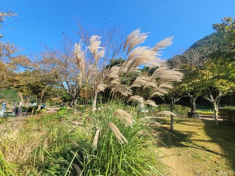 와룡저수지 산책로 사진 4