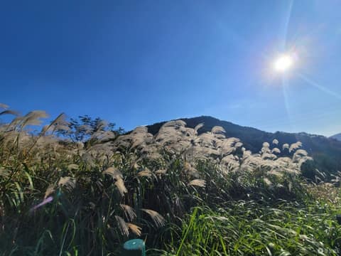 와룡저수지 산책로 사진 7