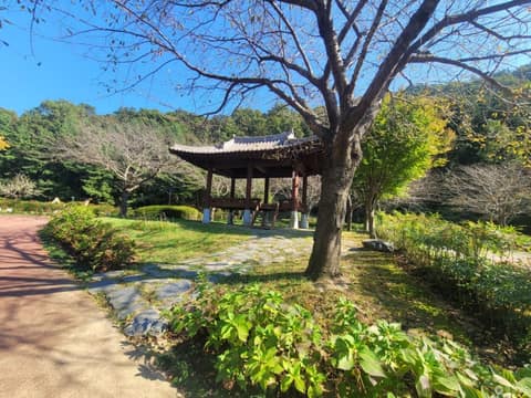 와룡저수지 산책로 사진 8