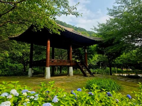와룡저수지 산책로 사진 9