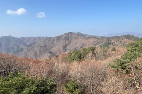 소백산하늘자락공원둘레길 사진 9