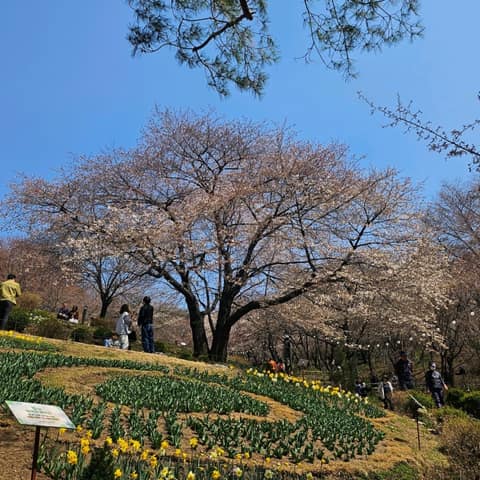 안산도시자연공원 산복도로길 사진 2