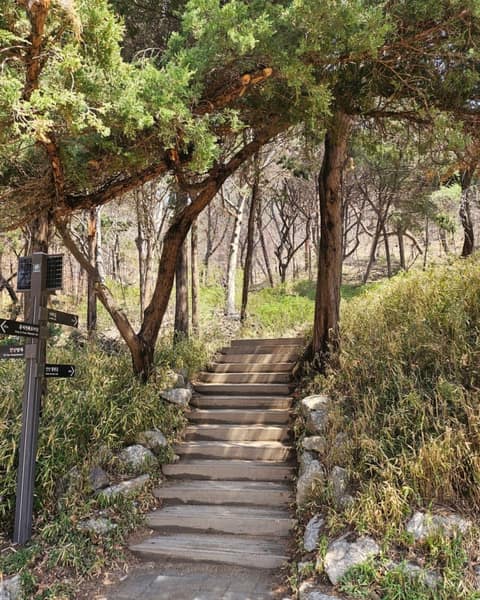 안산도시자연공원 산복도로길 사진 3