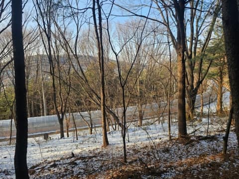 안산도시자연공원 산복도로길 사진 5